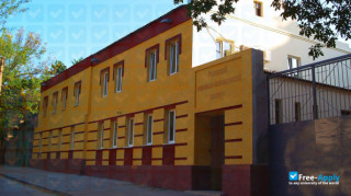 Miniatura de la Rostov Social and Economic Institute #3