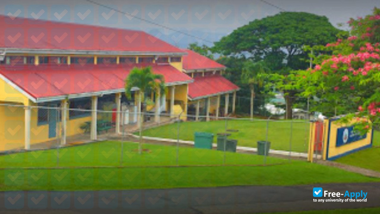 Sir Arthur Lewis Community College фотография №5