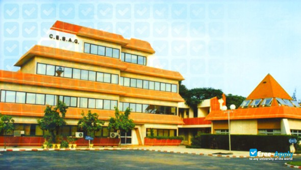 Foto de la Center African Of Studies Higher Managerial (Cesag) #4