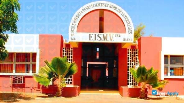 Inter-State School of Veterinary Sciences and Medicine of Dakar photo #2