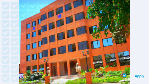 ISM Institute of Management photo