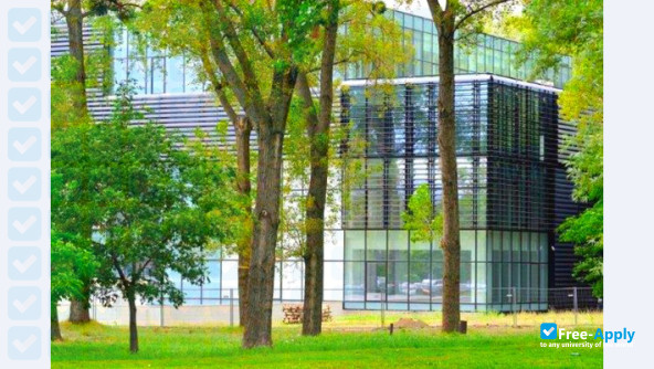 University of Novi Sad photo #7