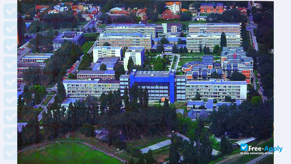 University of Novi Sad photo #3