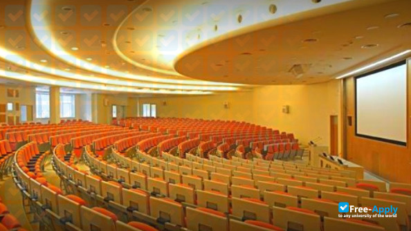 Megatrend University