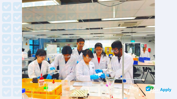 Photo de l’German Institute of Science and Technology #10