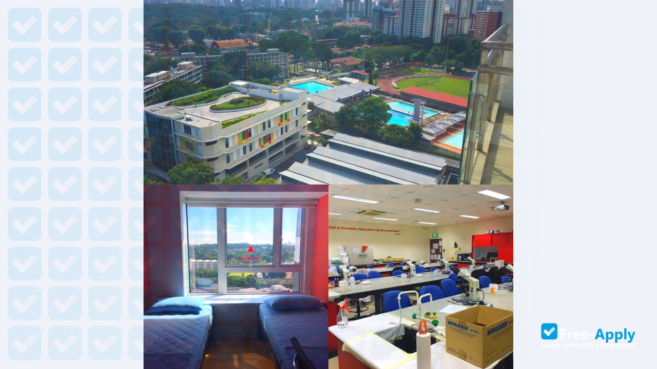 Management Development Institute of Singapore photo #9