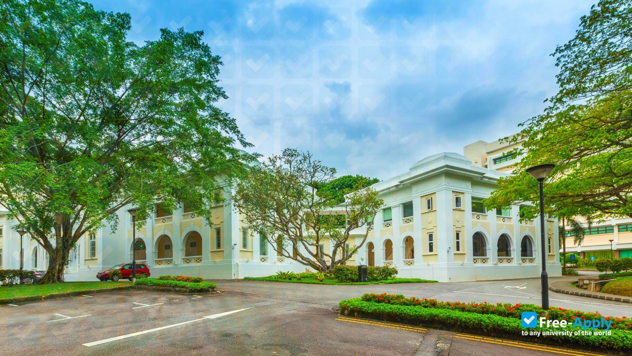 S P Jain School of Global Management, Singapore Campus photo #3