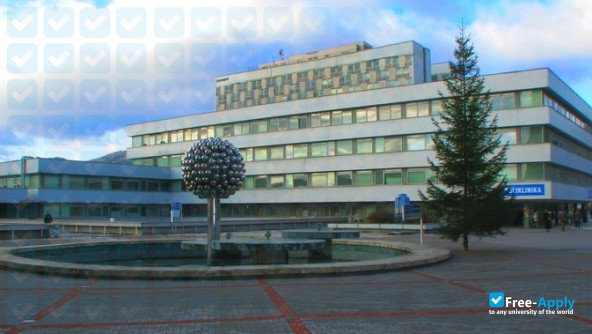 Photo de l’Slovak Medical University in Bratislava #7