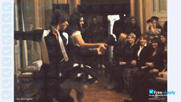 The Dance Academy in Ljubljana photo #13