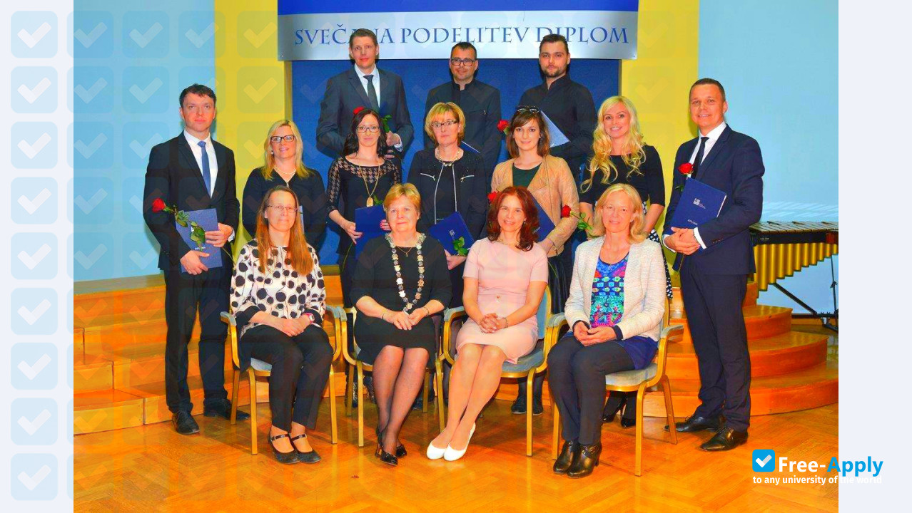 Faculty of Commercial and Business Sciences Celje photo #9