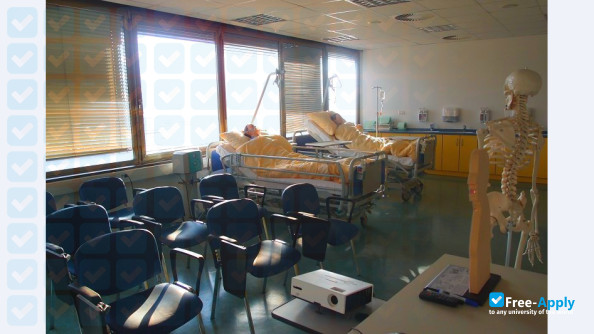 Health College in Celje фотография №5
