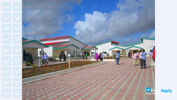 Benadir University photo #9