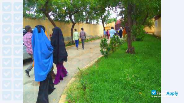 Foto de la Jazeera University #5
