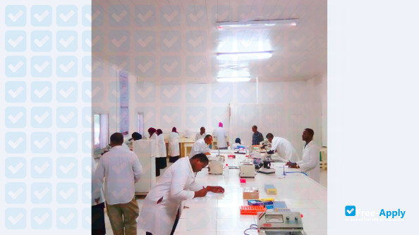 Photo de l’University of Somalia #6