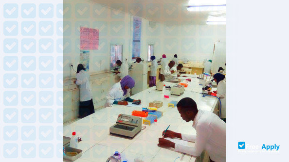 Photo de l’University of Somalia #10