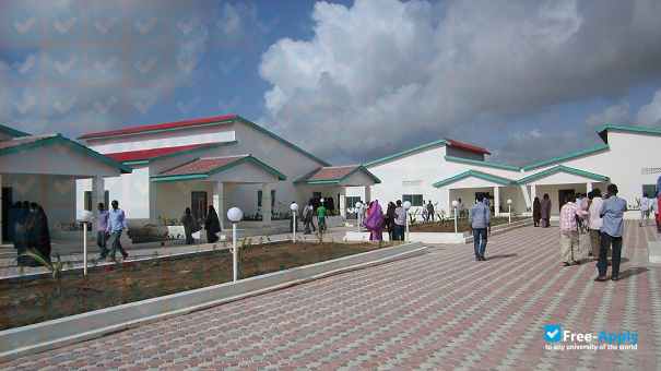 Foto de la Puntland State University #7