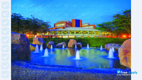 Tshwane University of Technology фотография №8