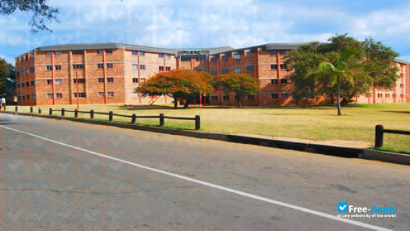 Photo de l’University of Limpopo #11