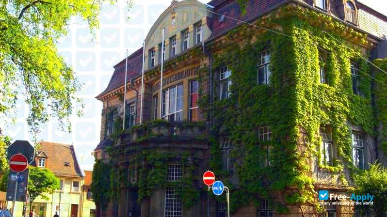 Sonett International Academy фотография №12