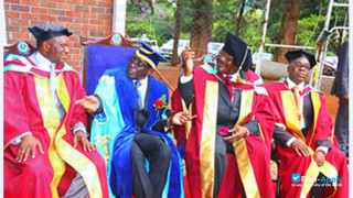 Miniatura de la Zimbabwe Open University #2