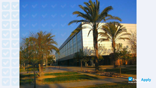 University of Alicante фотография №2