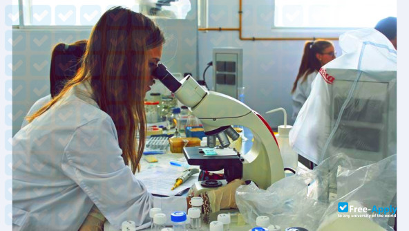 Cadiz University photo #2