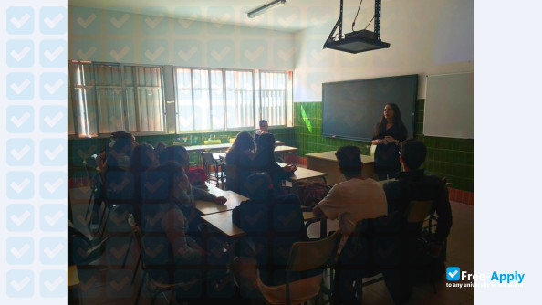 European School of Management Tenerife photo #9