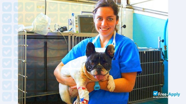 University of Santiago de Compostela Faculty of Veterinary Medicine of Lugo photo #5