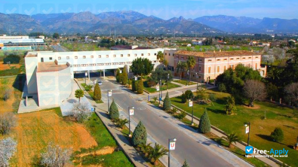 University of the Balearic Islands photo #6