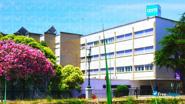 Photo de l’CESTE International Business School #6
