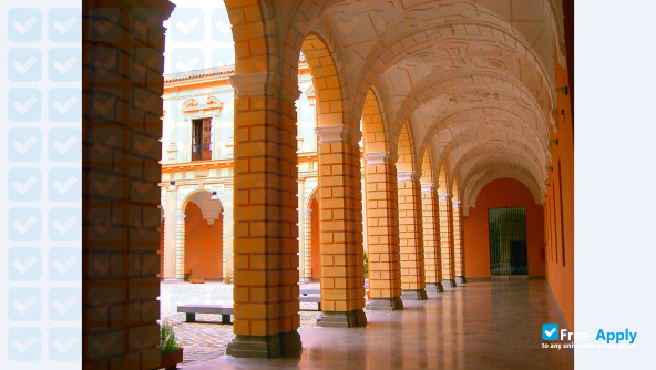 Conservatory of Music Manuel Castillo Sevilla photo #8