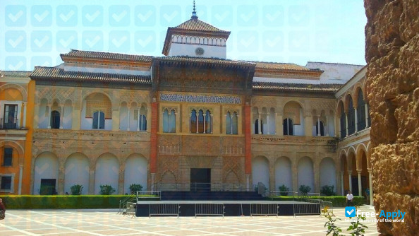 Conservatory of Music Manuel Castillo Sevilla photo #5