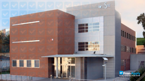 CESINE University Center photo #7