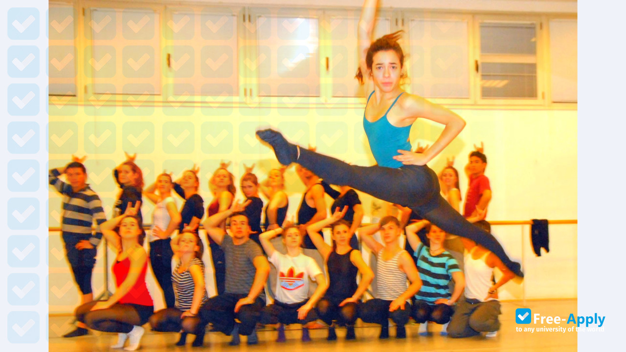 Higher Institute of Dance Alicia Alonso Rey Juan Carlos University photo #5