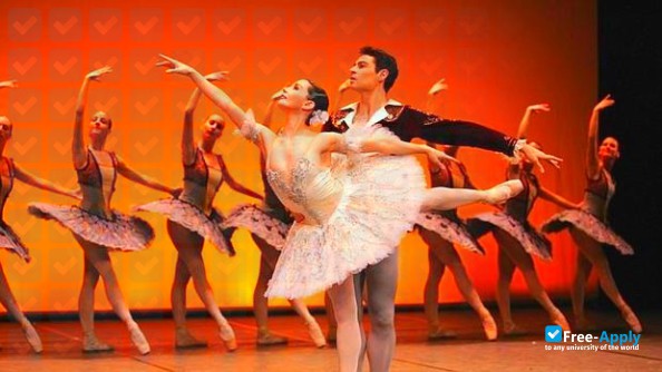 Higher Institute of Dance Alicia Alonso Rey Juan Carlos University photo #1
