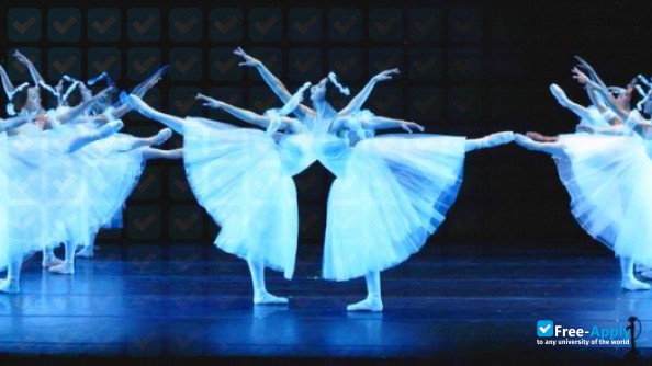 Higher Institute of Dance Alicia Alonso Rey Juan Carlos University photo #13