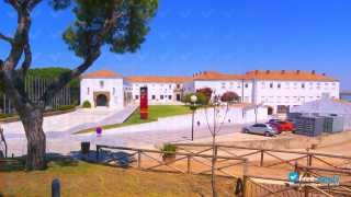 International University of Andalusia миниатюра №13