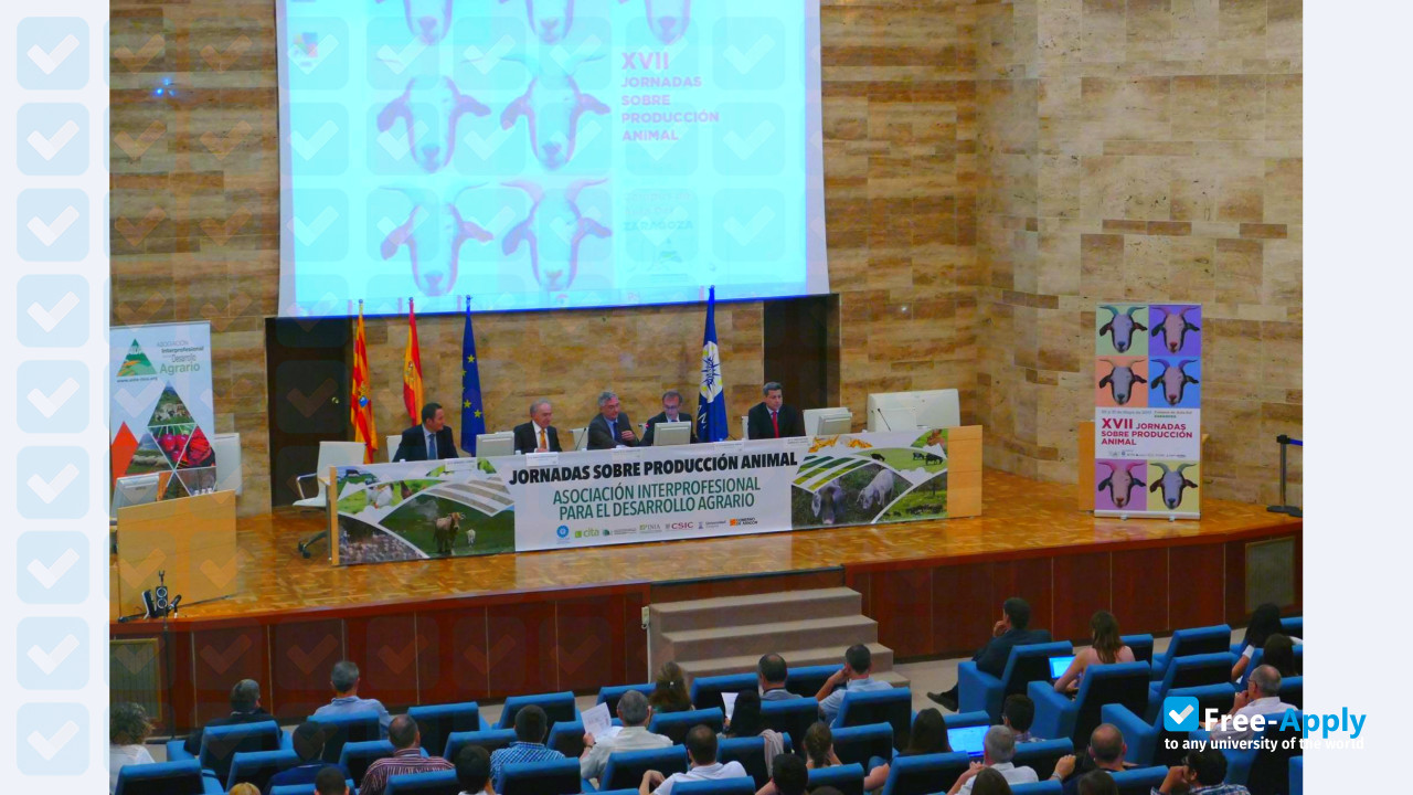 Mediterranean Agronomic Institute of Zaragoza photo #13