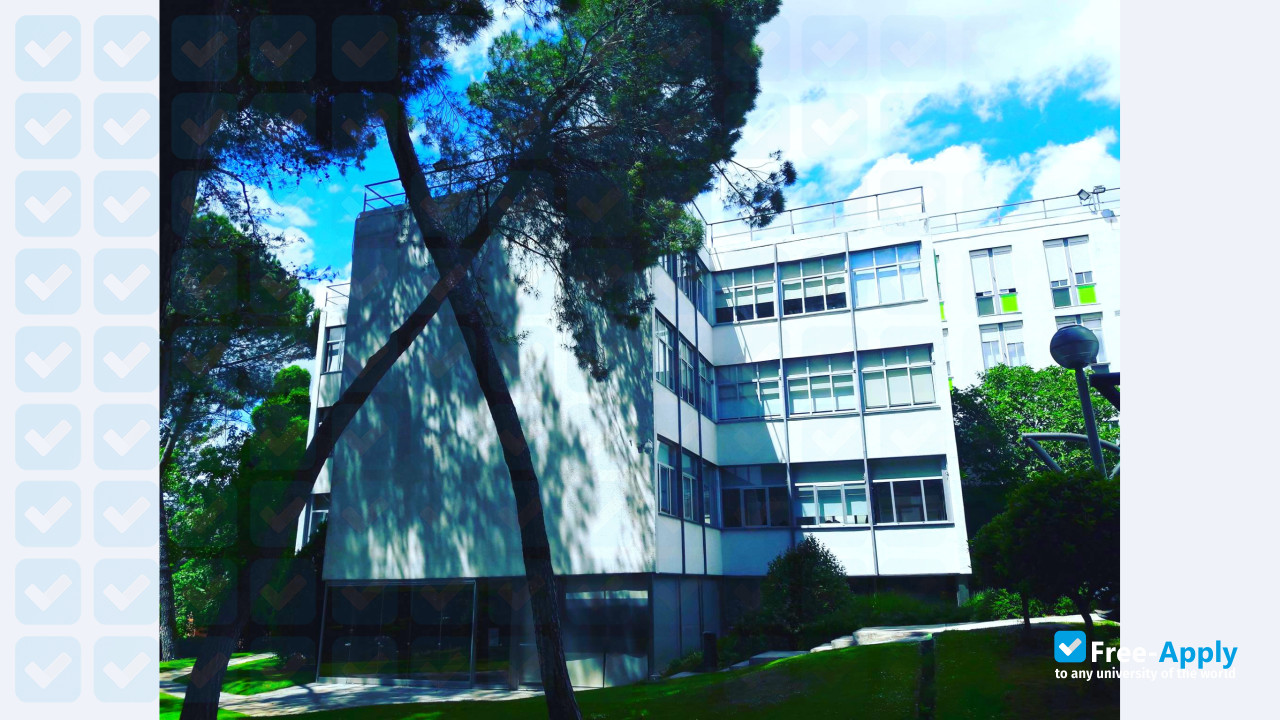 Foto de la School of Industrial Organization #6