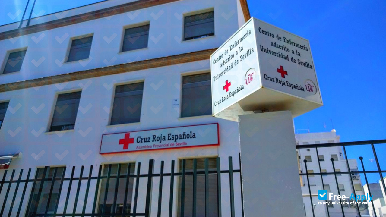 School of Nursing of Spanish Red Cross Seville photo #7