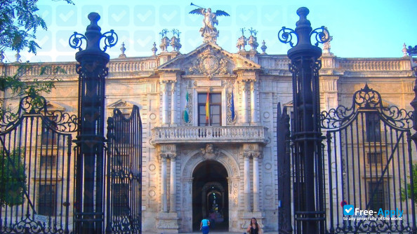 Sevilla University photo #6