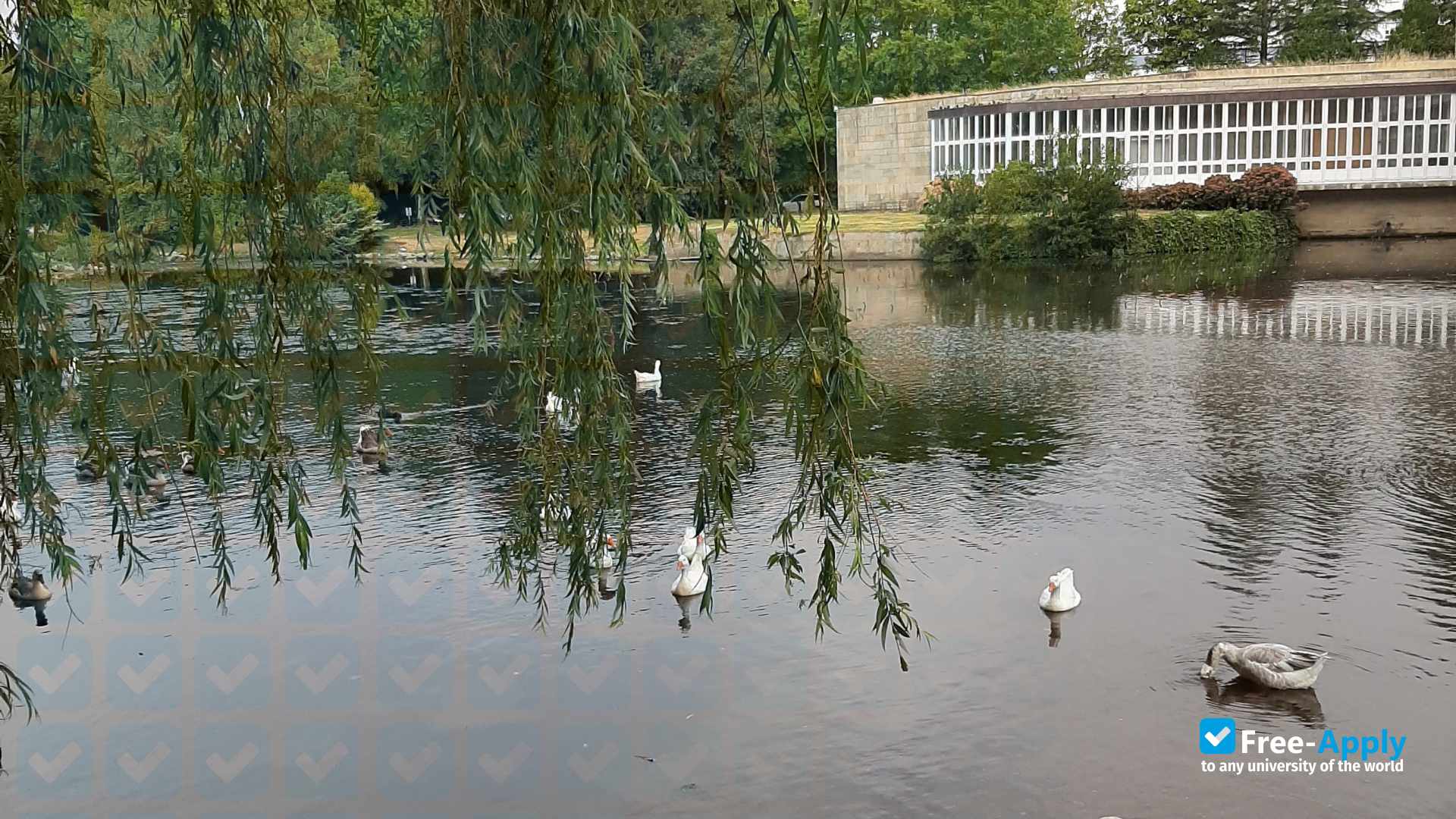 University of Santiago de Compostela photo #6