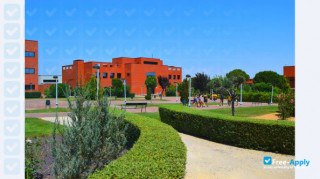 Miniatura de la Alfonso X El Sabio University #7