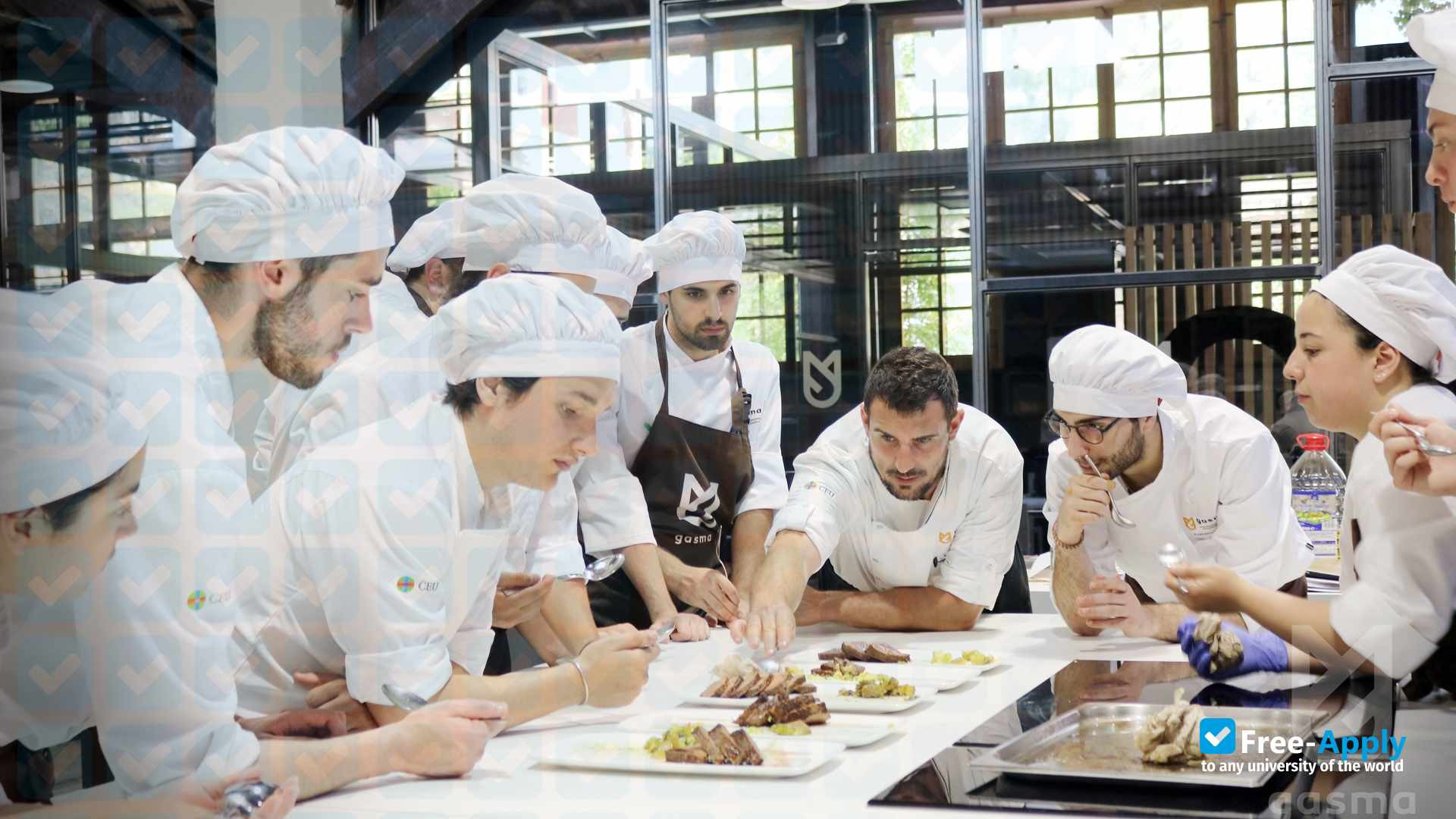 GASMA Gastronomy Campus of UCH-CEU University photo #2