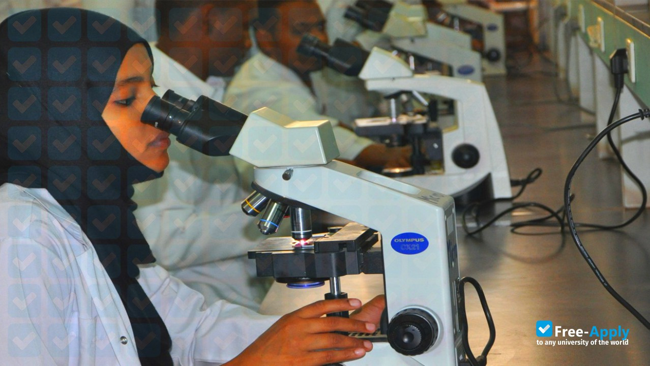 Photo de l’Alzaiem Alazhari University #7