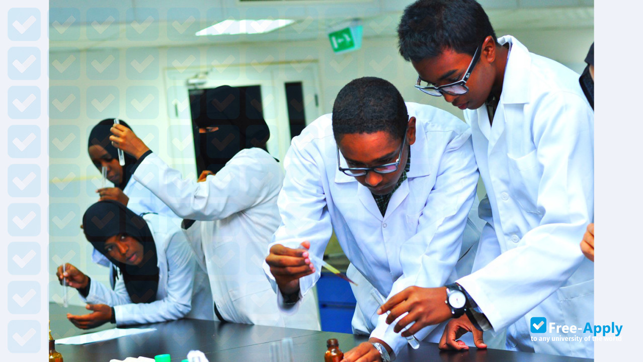 Nile College фотография №11