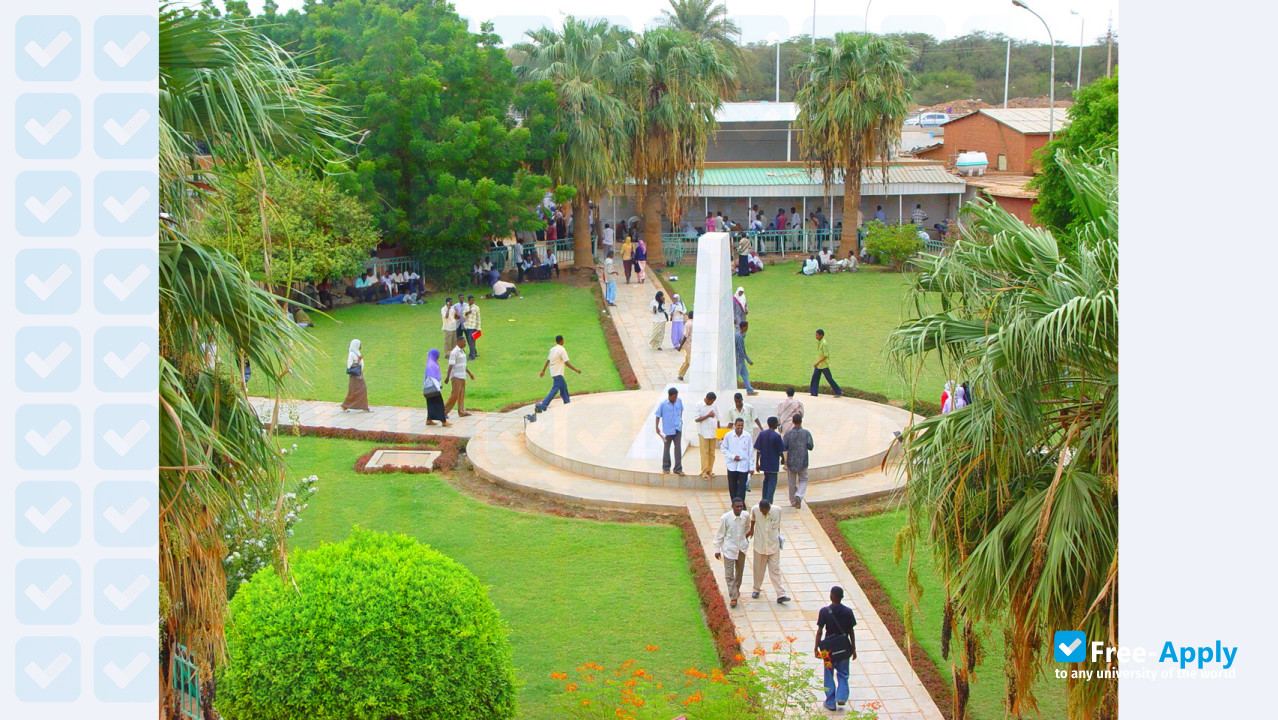 Sudan University of Science and Technology photo #4