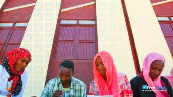 University of Dongola photo #3