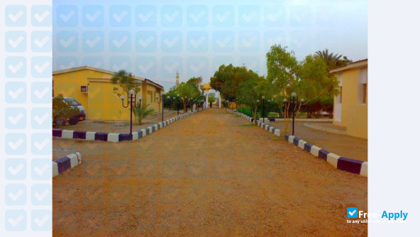 University of Dongola photo #5