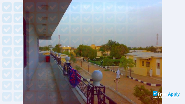 University of Dongola photo #9